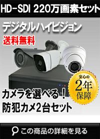 防犯カメラセット 防水 屋内対応 屋外防犯カメラ 2台セット HD-SDI 220