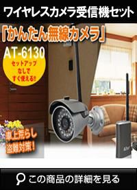 30万画素 ワイヤレスカメラセット
