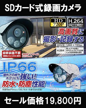 microSD録画 赤外線LED搭載 録画機能付き防犯カメラ OL-019