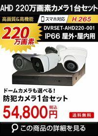  防犯カメラ 屋外 録画機能付き ズーム対応 家庭用　防犯カメラ 1台セット AHD 220万画素バレット・ドーム・カメラが選べる　常時録画　動体検知録画　防犯カメラセットDVRSET-AHD220-001 