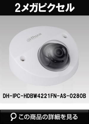 Dahua（ダーファ）防犯カメラ DH-IPC-HDBW4221FN-AS-0280B（2メガピクセル フルHD WDR IR LED 搭載 耐衝撃  ネットワーク ウェッジドーム型カメラ） | 防犯カメラ・監視カメラ専門通販店 秋葉原のアルタクラッセ