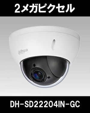 Dahua（ダーファ）防犯カメラ DH-SD22204IN-GC（2 メガピクセル フルHD