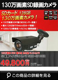 SDカードカメラ