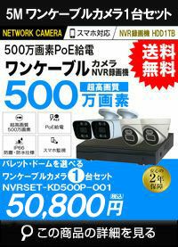 ワンケーブル防犯カメラ POE給電 屋外 屋内 防犯カメラセット 1台セット ネットワーク 500万画素　LANケーブル20ｍ付き NVRSET-KD500P-001 