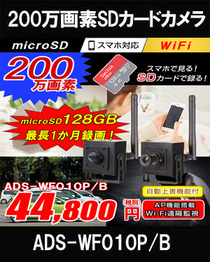 1080P SDカード録画対応 ダイレクトアクセス 小型ピンホール ワイヤレスカメラ　ADS-WF010