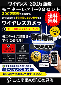  アルタクラッセ（Alta Classe）ワイヤレス 300万画素 モニター無し カメラ音声 工事不要 防犯カメラセット パソコン遠隔監視対応 AI人体検知 人感センサー ライト 屋外用 ALWSET-KG300KD2-018
