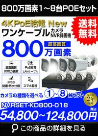 ★防犯カメラ★nsk★IP-8002★2メガピクセル★ネットワーク★ IP-8002AI 終売 - 株式会社NSK 株式会社NSK