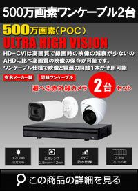 CVI 500万画素2台ワンケーブルカメラセット