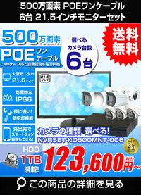 21.5インチモニター付き 500万画素 PoE ワンケーブル赤外線カメラ6台セット NVRSET-KD500MNT-006