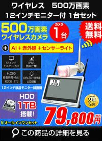 AI機能付き500万画素ワイヤレスカメラセット ALWSET-KD500-001