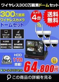 AI機能付き 500万画素ワイヤレスカメラセット