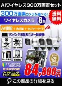 AI機能付き 300万画素ワイヤレスカメラセット ALWSET-300SMNT10-008