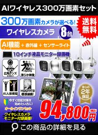 AI機能付き 300万画素ワイヤレスカメラセット ALWSET-300SMNT10-008