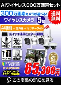 AI機能付き 300万画素ワイヤレスカメラセット ALWSET-300SMNT10-005